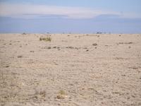 UNCCD CoP 17: India calls for predictable global green finance as USD 1.3 bln package launched to restore world’s rangelands