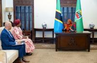 Tanzania, ADDI explore strategies to enable African diaspora to support development initiatives