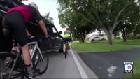 Deputies search for suspect who opened fire on cyclists in Miami-Dade