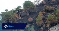 Scotland ‘must act now’ to reduce wildfire risk, says chief firefighter