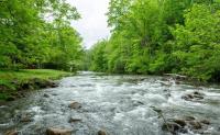 Democrats Receive High Grades, Republicans Low Marks On PA Environmental Scorecard