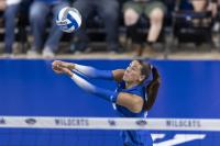 Kentucky volleyball falls for second time this season to SMU in Paradise Invitational