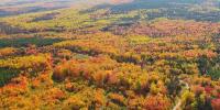 Maine’s fall foliage reports to start in early September