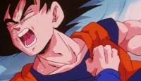 France Celebrates $7 Billion Dragon Ball Z Theme Park Paid For By Saudi Arabia: ‘You Know My Passion For Manga’
