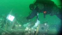 Sunken WWI and WWII Ships and Subs Are Leaking TNT Pollution Into the Ocean