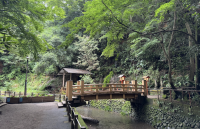 The Silent Majority and Environmental Storytelling in Tokyo, Japan