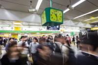 Japan's Tea Fields Could Shrink 80% by 2050 as Farmers, Trees Age
