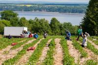 Canada extends grace period for TFWP work permit applications submitted without positive LMIAs
