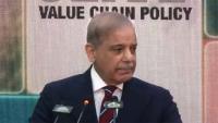 PM Shehbaz launches national olive value chain policy