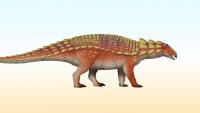 New Species of Armored Dinosaur Identified in Japan