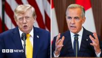How Canada could hit back to hurt the US economy – and Trump