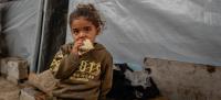 United Nations Confirms Continued Killing of Children in Gaza, West Bank, & UNICEF Warns of Malnutrition
