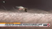 Albuquerque considers $130K boost for mosquito control amid longer season