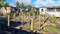 Government to transition families in informal settlements