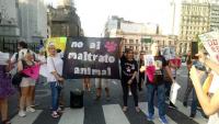 National march against animal abuse in Argentina: demanding increased penalties under Law 14.346
