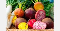 Egypt exports 50,000 tons of vegetables in one week