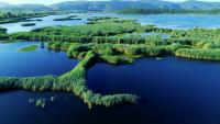 Brothers Turn Svitava Into a Destination for Visitors From Around the World