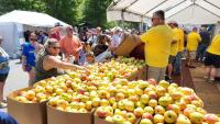 80th annual North Carolina Apple Festival: schedule, street closures, parking Hendersonville leaders have released details about the city's upcoming annual North Carolina Apple Festival and Labor Day celebrations.