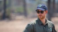 Harry steps down from controversial African wildlife charity ahead of UK homecoming
