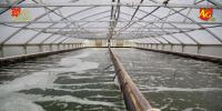 Soybeans help feed a growing aquaculture industry
