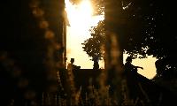 Germany Faces €36 Bln Economic Cost from Extreme Heatwave