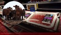 Will Mexican cattle imports lower US beef prices? Economists weigh in