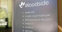 Woodside profit surges as it cuts new energy plans