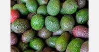 Kenyan fruit export earnings rise 19.8% in June despite lower volumes