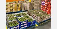 Australian avocado producer diversifies into citrus and grapes