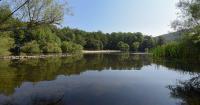 Maryland state park reopens after 2 rabid beaver attacks