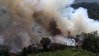 Indonesia Sanctions Six Companies After Kalimantan Forest Fires Burn 1,511 Hectares