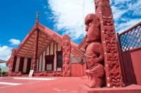 Insurance gaps leave Māori assets exposed