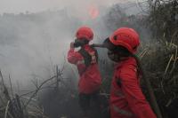 World Associated Press Muslims gather for rain prayers in Indonesia's wildfire-hit South Sumatra
