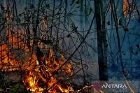 Indonesia sanctions 6 firms after 1,511 hectares burn in Kalimantan