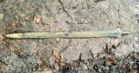 Man Unearths Mysterious 2,700-Year-Old Bronze Sword Standing Upright in a Polish Forest