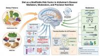 The diet-Alzheimer’s connection is more complicated than “eat this, avoid that”