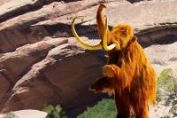 Utah Cave Holds World's Largest Deposit Of Ancient Mammoth Dung