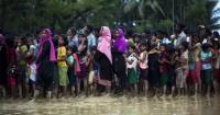 Rohingya Crisis: World Calls for Coordinated, Long-Term Approach