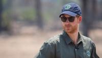 Prince Harry steps down from controversial African wildlife charity