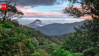 In 1972, Costa Rica began protecting a misty mountain forest: Decades later, Monteverde’s 10,500 hectares have become a remarkable conservation story