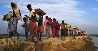 16 missions including EU say Rohingya repatriation conditions remain unsafe