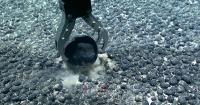 Environmental review of seabed mining to come after leases are sold