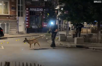 Three consecutive days of shootings in Saint-Gilles