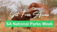 SANParks Opens National Parks for Free in September as Thousands of South Africans Prepare to Explore Kruger and Other Wildlife Destinations