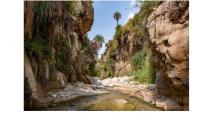 Wadi Bin Hammad in Karak: A Refreshing Summer Escape Surrounded by Nature