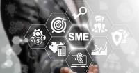 Unlocking SME Financing for BRICS Economies: Insights from Case Studies