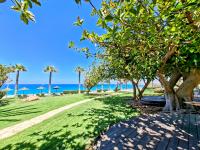 Cyprus Business Now: Jumbo, shipping, airfares, loans, Logicom