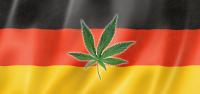 Medical Cannabis Imports in Germany Increase Sixfold Since 2024 Reforms 