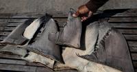 Chinese ship caught with banned shark fins in Pacific Ocean