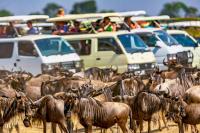 Think Beyond The Great Migration, 8 Ways To Do Africa Differently In 2026